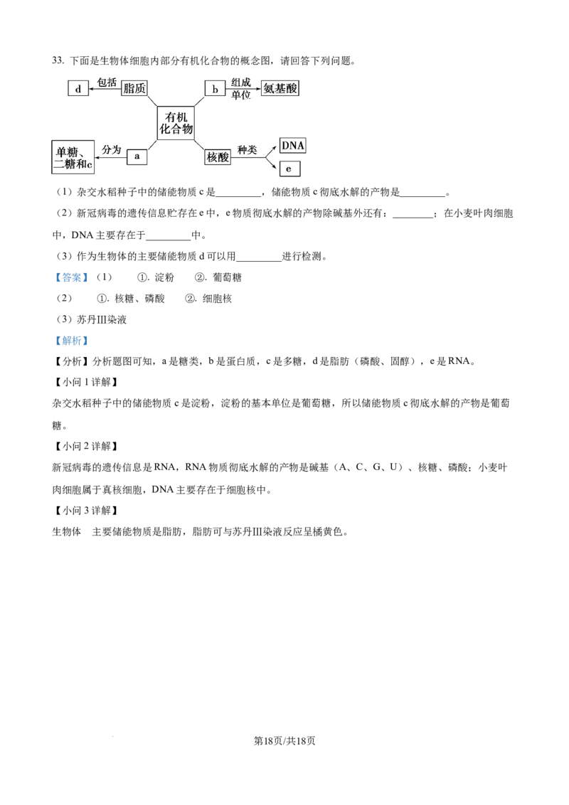 精品解析：河北省衡水市冀州区河北冀州中学2025-2026学年高一上学期10月月考生物试题（解析版）_2025年11月高一试卷_251106河北省冀州中学2025-2026学年高一上学期第二次月考