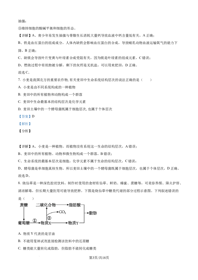 精品解析：河北省衡水市冀州区河北冀州中学2025-2026学年高一上学期10月月考生物试题（解析版）_2025年11月高一试卷_251106河北省冀州中学2025-2026学年高一上学期第二次月考