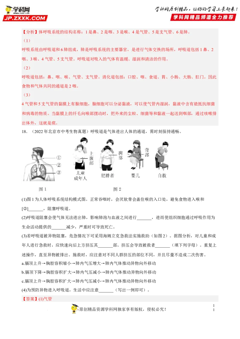 专题09人体的呼吸（习题帮）（解析版）_6生物中考复习_2023年中考复习资料_一轮复习_备战2023年中考生物一轮复习考点帮（全国通用）288506454
