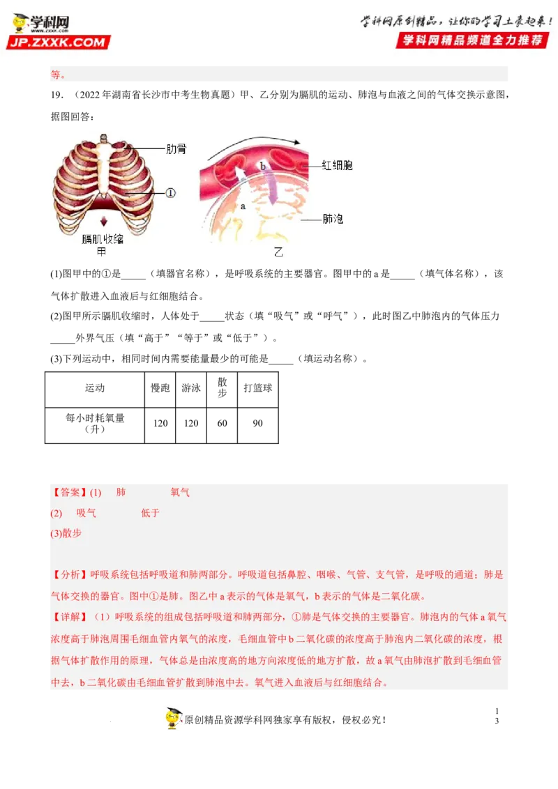 专题09人体的呼吸（习题帮）（解析版）_6生物中考复习_2023年中考复习资料_一轮复习_备战2023年中考生物一轮复习考点帮（全国通用）288506454