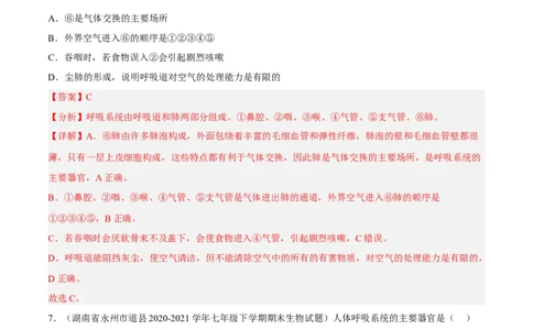 专题09人体的呼吸（习题帮）（解析版）_6生物中考复习_2023年中考复习资料_一轮复习_备战2023年中考生物一轮复习考点帮（全国通用）288506454