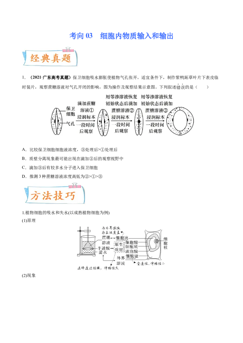 考向03细胞内物质输入和输出-备战2023年高考生物一轮复习考点微专题（全国通用）（原卷版）_通用版（老高考）复习资料_2023年复习资料_一轮复习