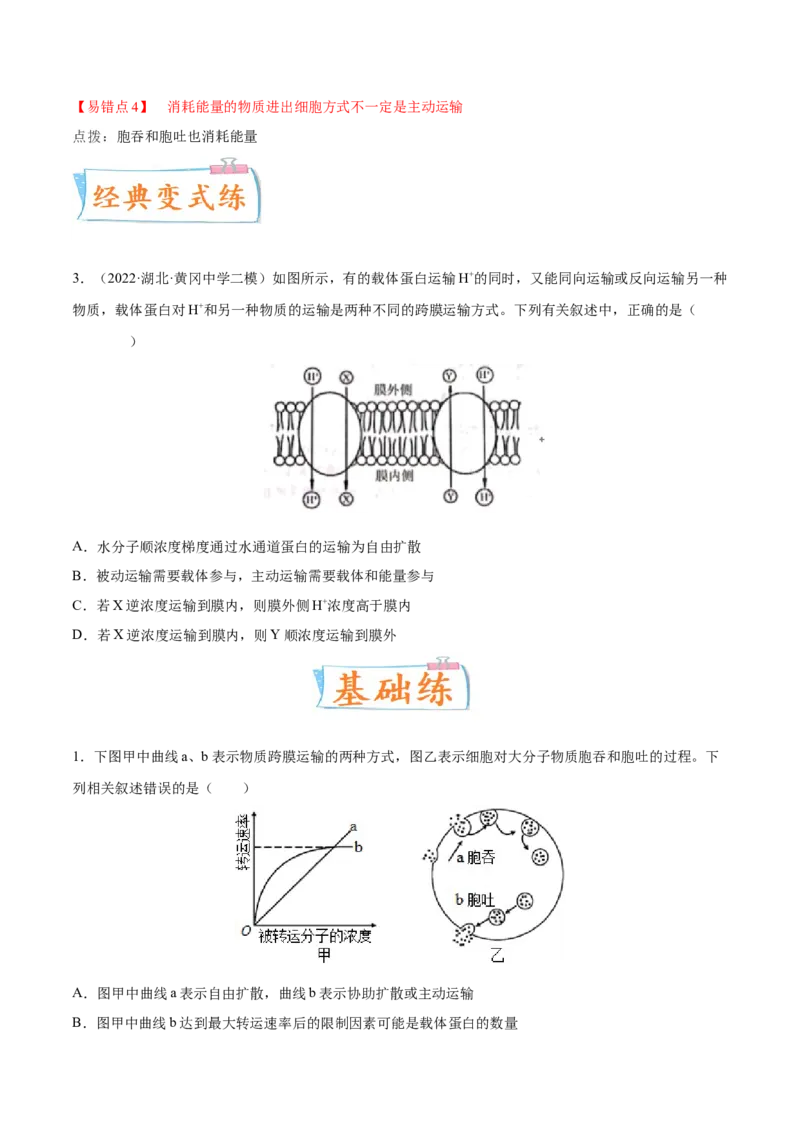 考向03细胞内物质输入和输出-备战2023年高考生物一轮复习考点微专题（全国通用）（原卷版）_通用版（老高考）复习资料_2023年复习资料_一轮复习