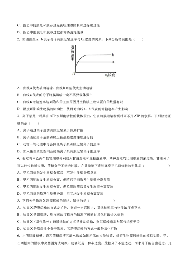 考向03细胞内物质输入和输出-备战2023年高考生物一轮复习考点微专题（全国通用）（原卷版）_通用版（老高考）复习资料_2023年复习资料_一轮复习