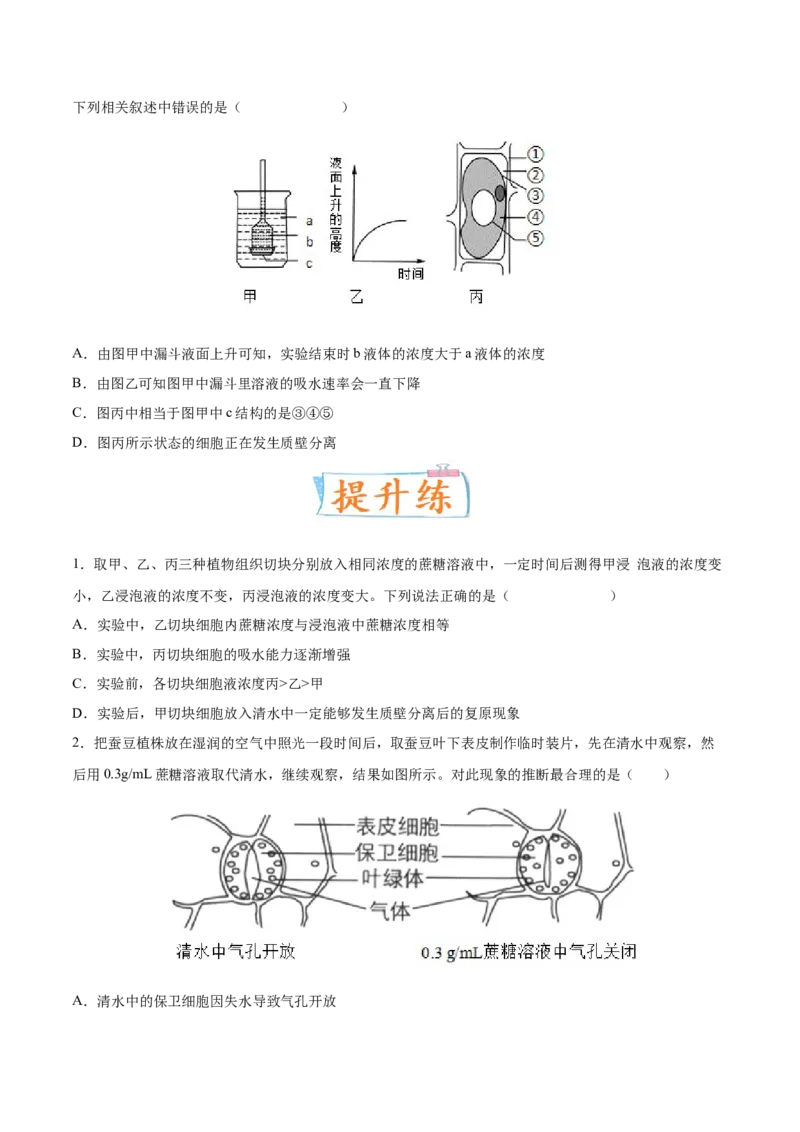 考向03细胞内物质输入和输出-备战2023年高考生物一轮复习考点微专题（全国通用）（原卷版）_通用版（老高考）复习资料_2023年复习资料_一轮复习