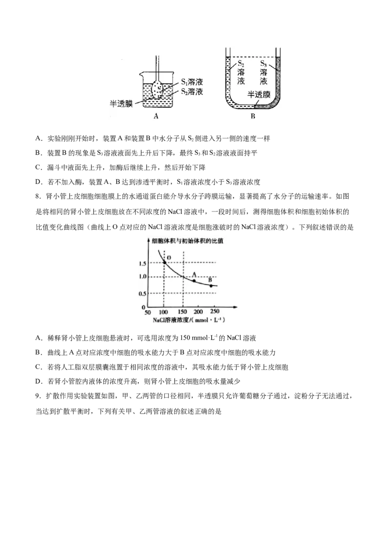 考向03细胞内物质输入和输出-备战2023年高考生物一轮复习考点微专题（全国通用）（原卷版）_通用版（老高考）复习资料_2023年复习资料_一轮复习