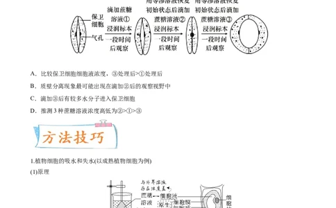 考向03细胞内物质输入和输出-备战2023年高考生物一轮复习考点微专题（全国通用）（原卷版）_通用版（老高考）复习资料_2023年复习资料_一轮复习