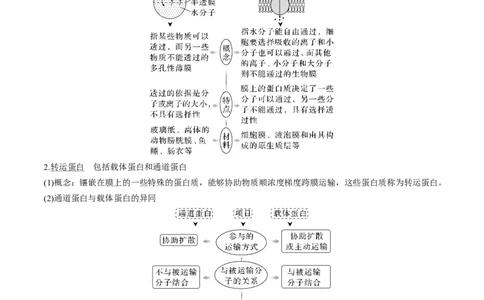 考向03细胞内物质输入和输出-备战2023年高考生物一轮复习考点微专题（全国通用）（原卷版）_通用版（老高考）复习资料_2023年复习资料_一轮复习