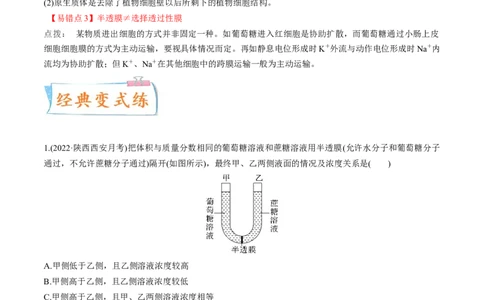 考向03细胞内物质输入和输出-备战2023年高考生物一轮复习考点微专题（全国通用）（原卷版）_通用版（老高考）复习资料_2023年复习资料_一轮复习