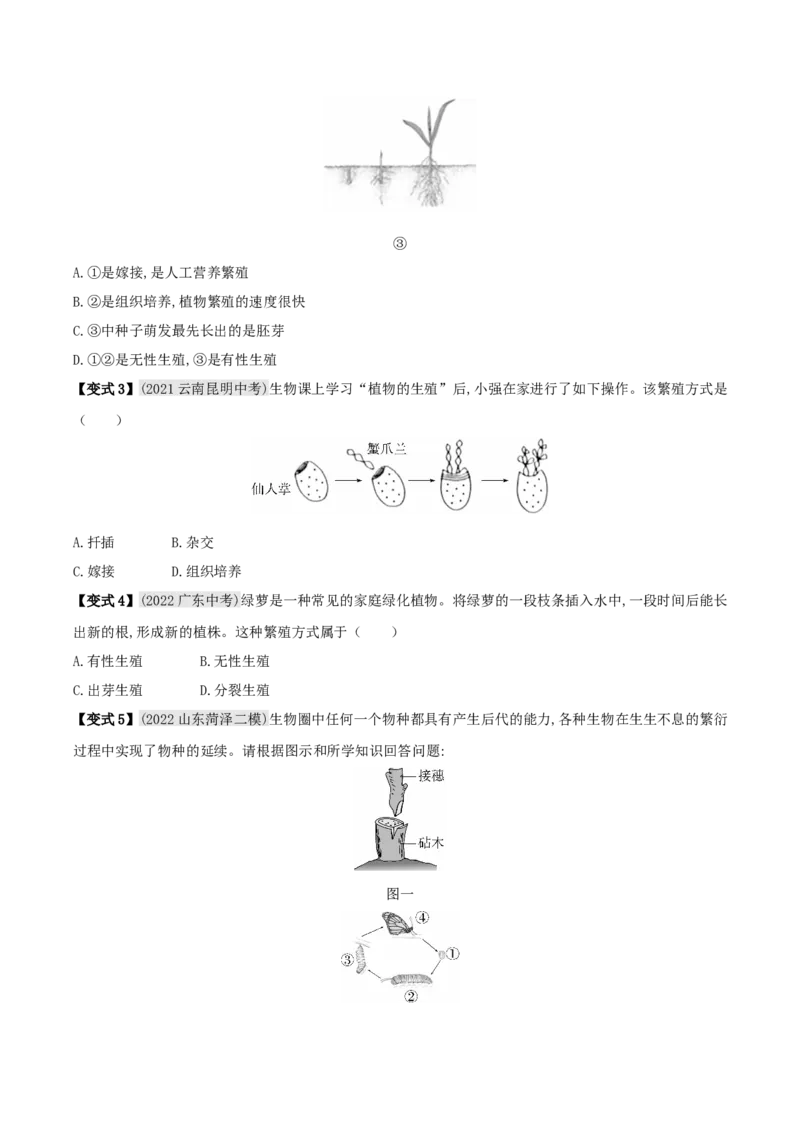 专题17生物的生殖和发育（原卷版）_6生物中考复习_2023年中考复习资料_专项复习_2023年中考生物总复习真题探究与变式训练（全国通用）