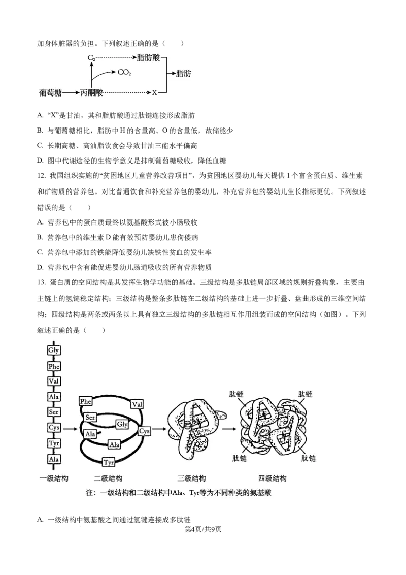 精品解析：河南省TOP二十校205&mdash;2026学年高一上学期10月联考生物试题（原卷版）_2025年10月高一试卷_251025河南省TOP二十名校2025-2026学年高一上学期10月调研考试（全）