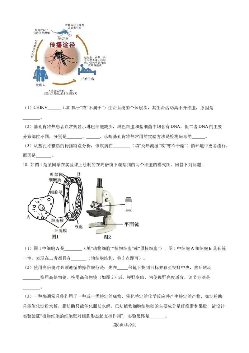 精品解析：河南省TOP二十校205&mdash;2026学年高一上学期10月联考生物试题（原卷版）_2025年10月高一试卷_251025河南省TOP二十名校2025-2026学年高一上学期10月调研考试（全）