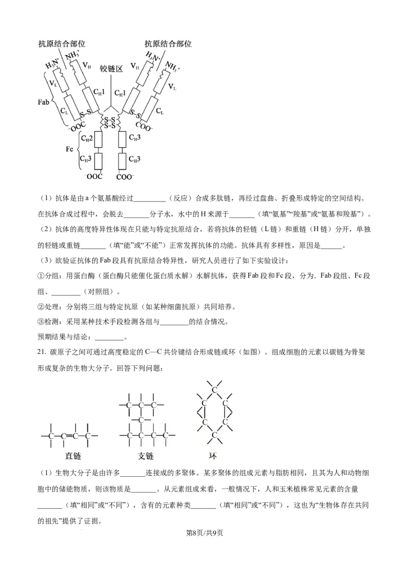 精品解析：河南省TOP二十校205&mdash;2026学年高一上学期10月联考生物试题（原卷版）_2025年10月高一试卷_251025河南省TOP二十名校2025-2026学年高一上学期10月调研考试（全）