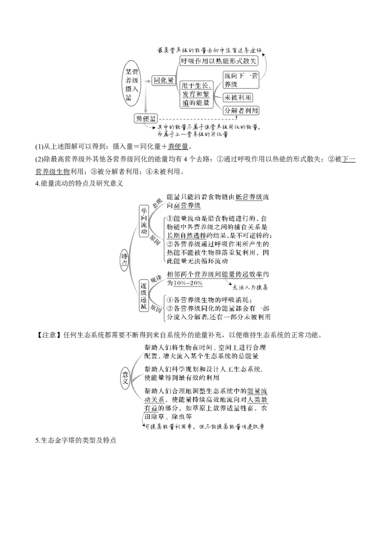 考向23生态系统的结构与能量流动-备战2023年高考生物一轮复习考点微专题（全国通用）（解析版）_通用版（老高考）复习资料_2023年复习资料_一轮复习