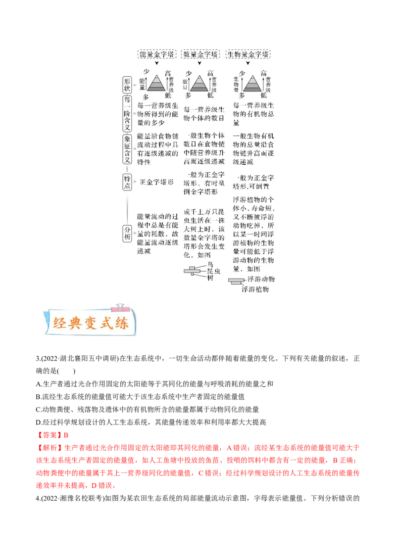 考向23生态系统的结构与能量流动-备战2023年高考生物一轮复习考点微专题（全国通用）（解析版）_通用版（老高考）复习资料_2023年复习资料_一轮复习