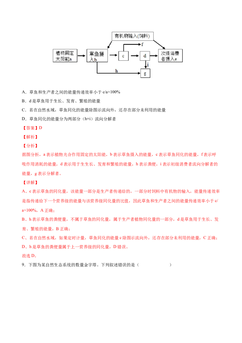 考向23生态系统的结构与能量流动-备战2023年高考生物一轮复习考点微专题（全国通用）（解析版）_通用版（老高考）复习资料_2023年复习资料_一轮复习