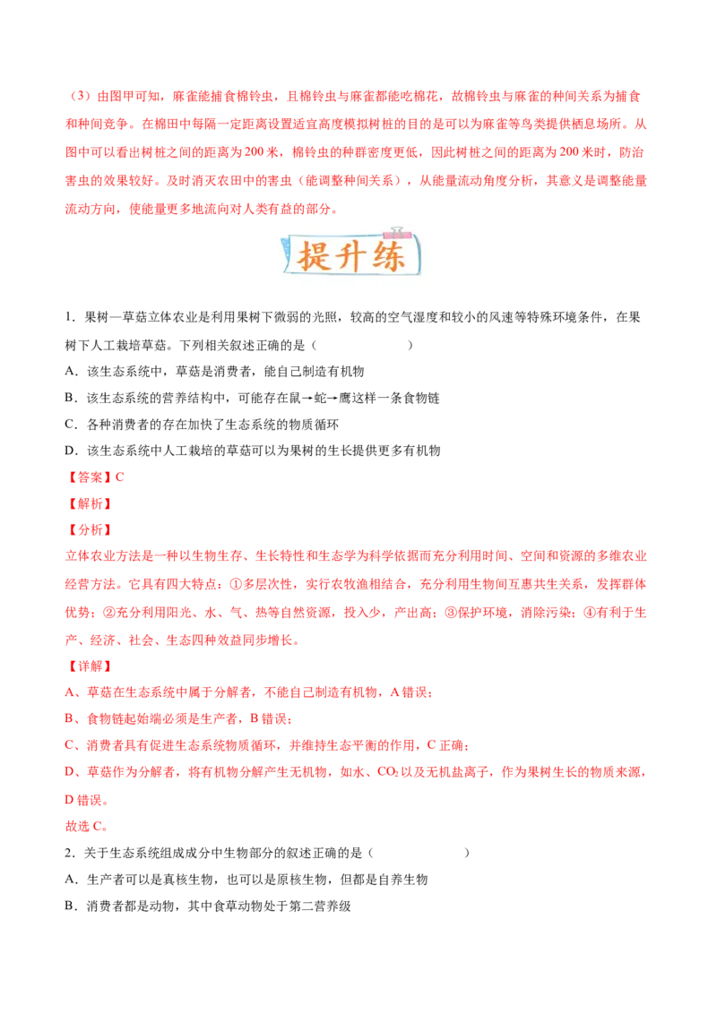 考向23生态系统的结构与能量流动-备战2023年高考生物一轮复习考点微专题（全国通用）（解析版）_通用版（老高考）复习资料_2023年复习资料_一轮复习