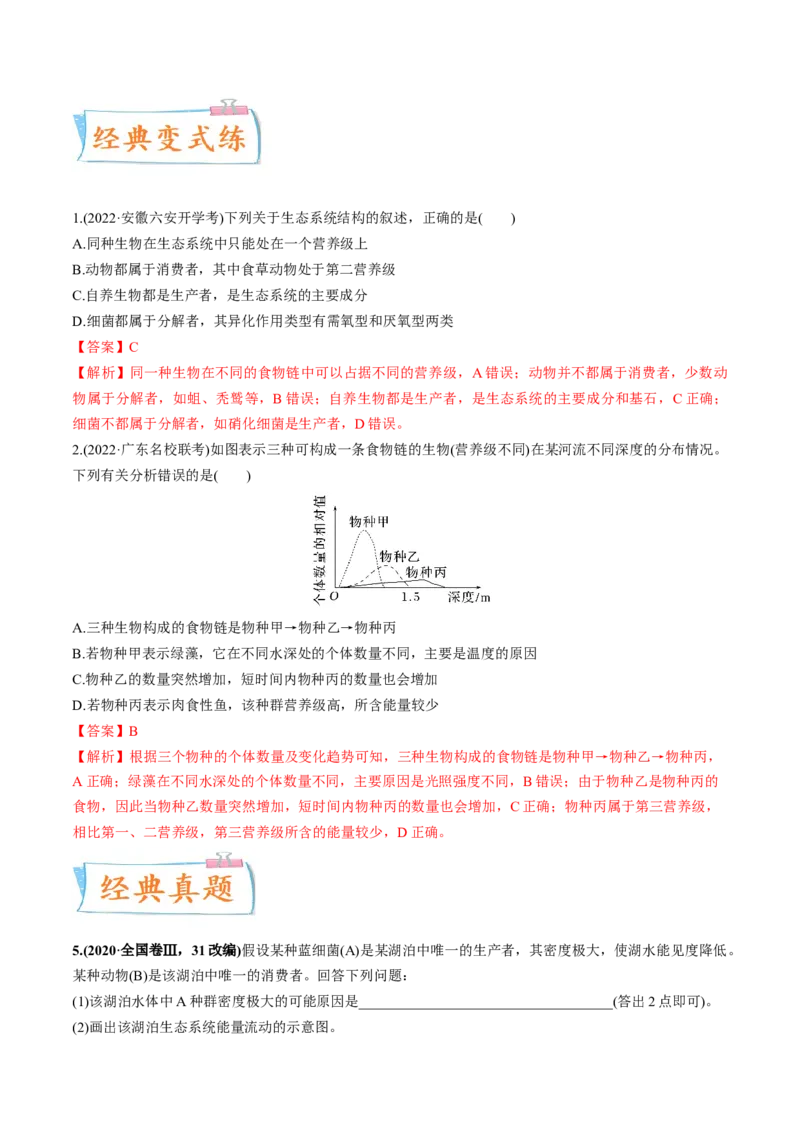 考向23生态系统的结构与能量流动-备战2023年高考生物一轮复习考点微专题（全国通用）（解析版）_通用版（老高考）复习资料_2023年复习资料_一轮复习