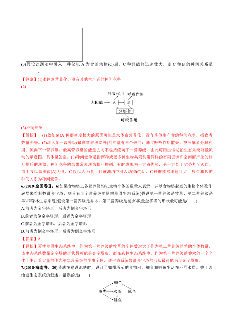 考向23生态系统的结构与能量流动-备战2023年高考生物一轮复习考点微专题（全国通用）（解析版）_通用版（老高考）复习资料_2023年复习资料_一轮复习