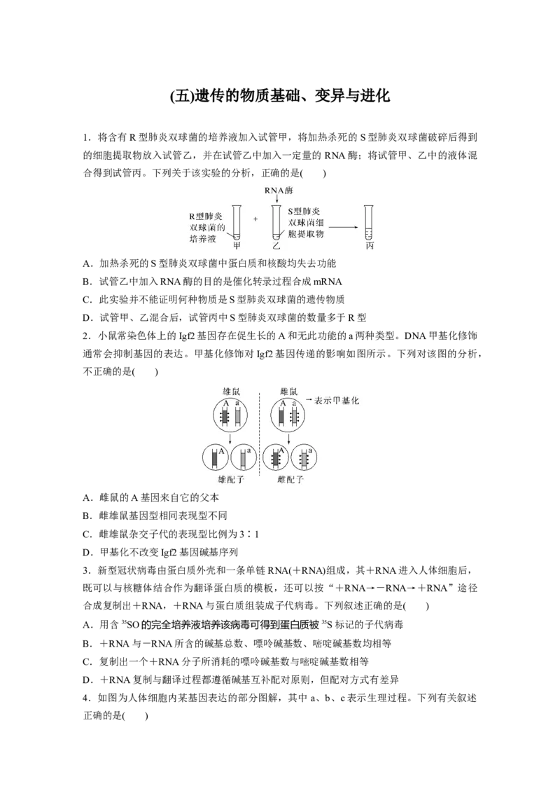 考前特训　专项二(五)遗传的物质基础、变异与进化_通用版（老高考）复习资料_2023年复习资料_二轮复习_2023年高考生物二轮复习讲义+课件（全国版）_学生版_二轮专题强化练与考前特训