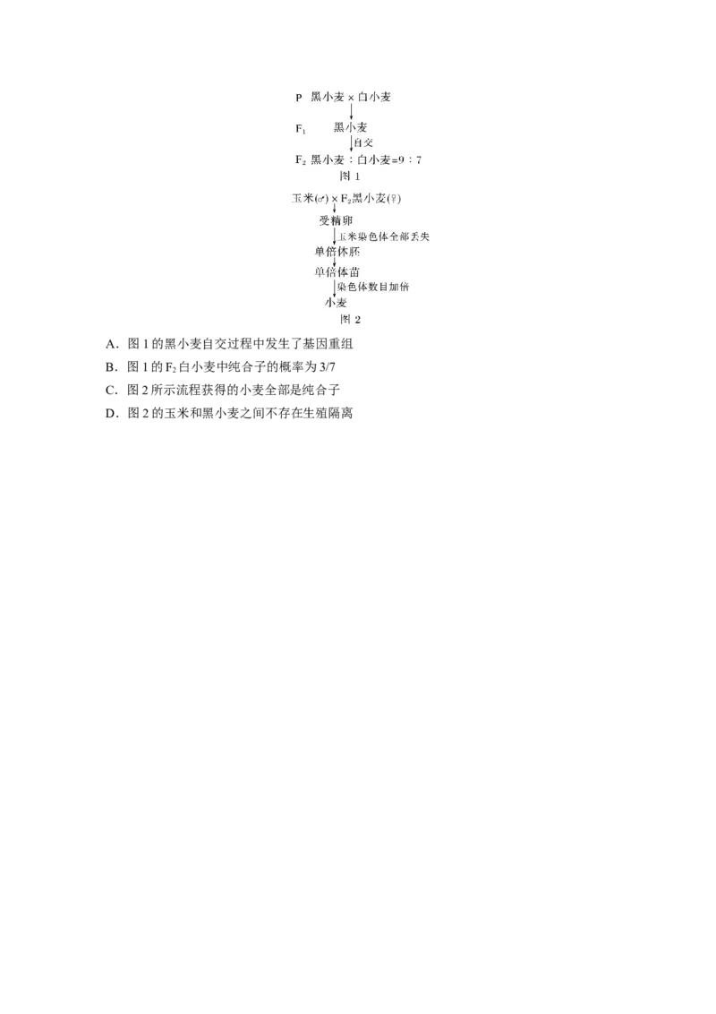 考前特训　专项二(五)遗传的物质基础、变异与进化_通用版（老高考）复习资料_2023年复习资料_二轮复习_2023年高考生物二轮复习讲义+课件（全国版）_学生版_二轮专题强化练与考前特训