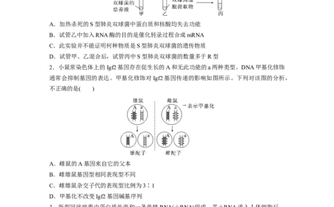考前特训　专项二(五)遗传的物质基础、变异与进化_通用版（老高考）复习资料_2023年复习资料_二轮复习_2023年高考生物二轮复习讲义+课件（全国版）_学生版_二轮专题强化练与考前特训