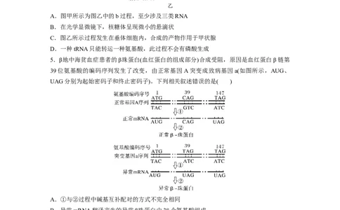 考前特训　专项二(五)遗传的物质基础、变异与进化_通用版（老高考）复习资料_2023年复习资料_二轮复习_2023年高考生物二轮复习讲义+课件（全国版）_学生版_二轮专题强化练与考前特训