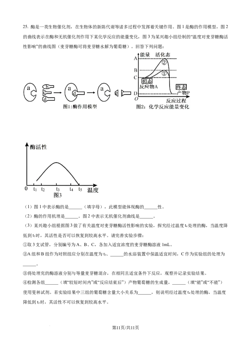 精品解析：辽宁省抚顺市六校协作体2025-2026学年高一上学期期末联考生物试卷（原卷版）_2026年01月高一试卷_260117辽宁省抚顺市六校协作体2025-2026学年高一上学期期末联考（全）