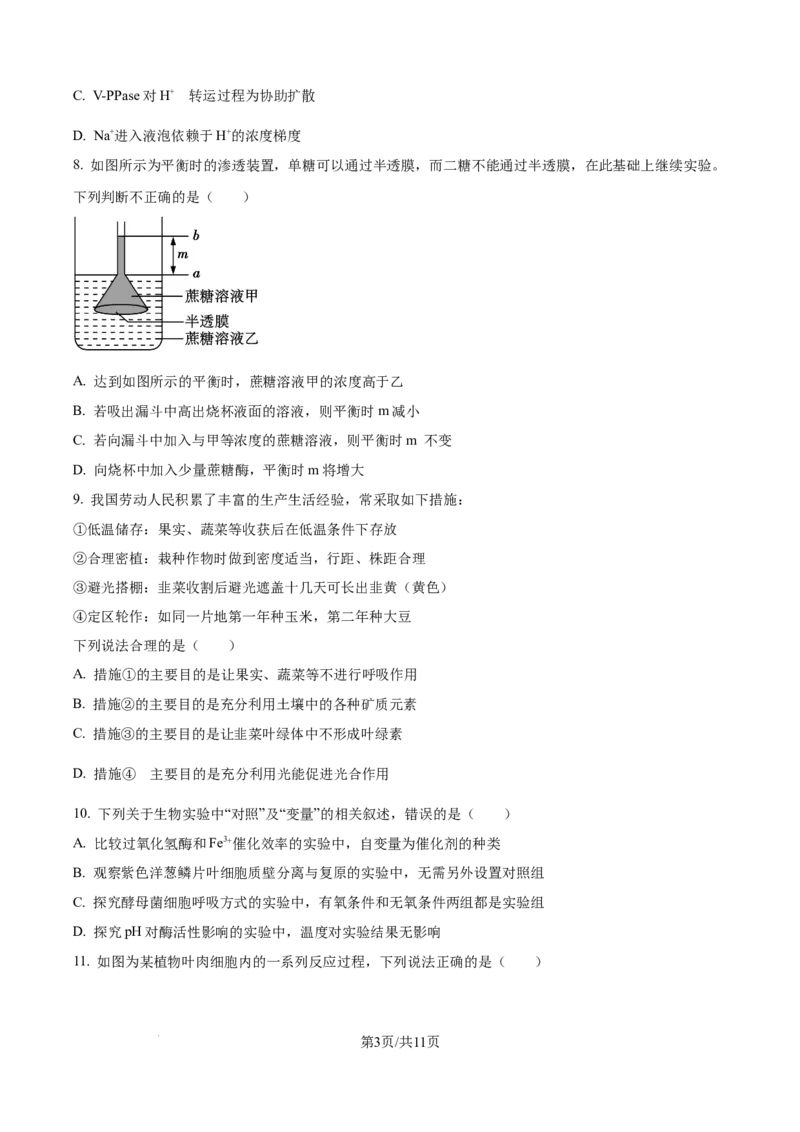 精品解析：辽宁省抚顺市六校协作体2025-2026学年高一上学期期末联考生物试卷（原卷版）_2026年01月高一试卷_260117辽宁省抚顺市六校协作体2025-2026学年高一上学期期末联考（全）
