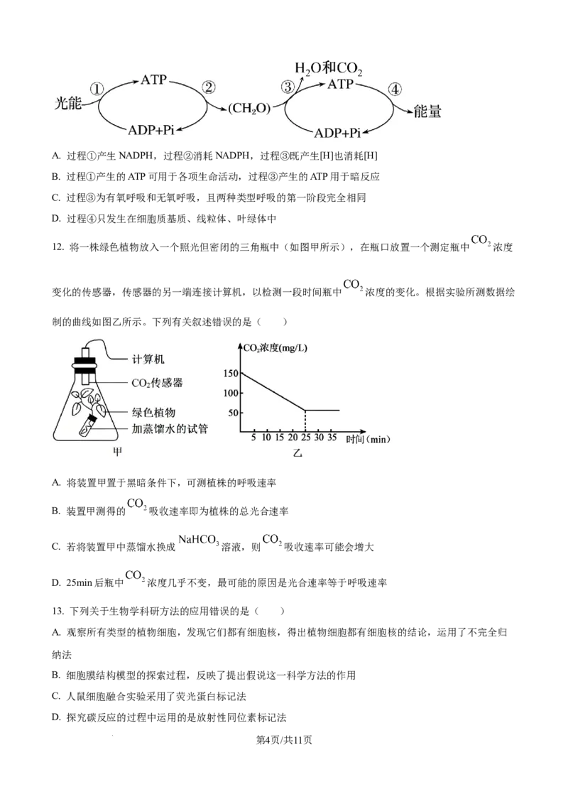 精品解析：辽宁省抚顺市六校协作体2025-2026学年高一上学期期末联考生物试卷（原卷版）_2026年01月高一试卷_260117辽宁省抚顺市六校协作体2025-2026学年高一上学期期末联考（全）