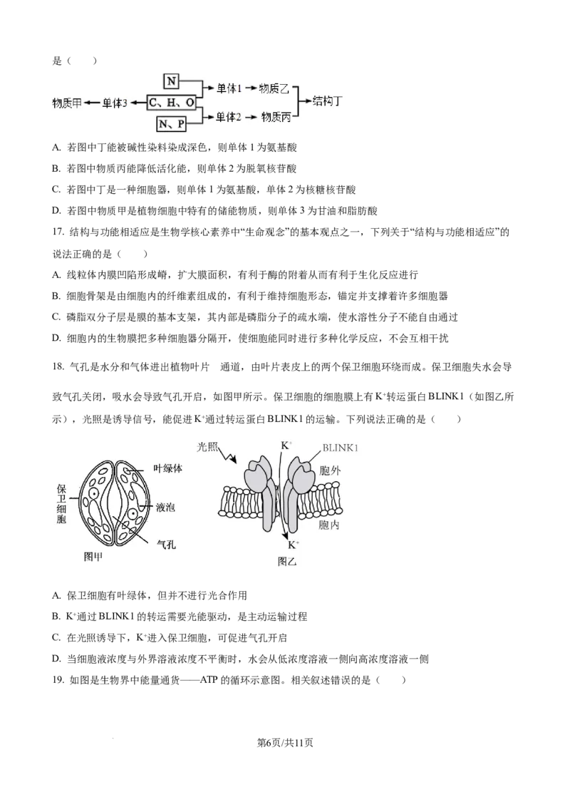 精品解析：辽宁省抚顺市六校协作体2025-2026学年高一上学期期末联考生物试卷（原卷版）_2026年01月高一试卷_260117辽宁省抚顺市六校协作体2025-2026学年高一上学期期末联考（全）