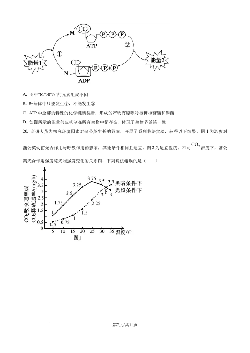 精品解析：辽宁省抚顺市六校协作体2025-2026学年高一上学期期末联考生物试卷（原卷版）_2026年01月高一试卷_260117辽宁省抚顺市六校协作体2025-2026学年高一上学期期末联考（全）