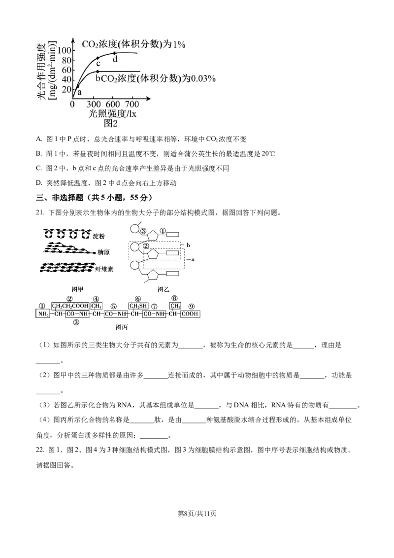 精品解析：辽宁省抚顺市六校协作体2025-2026学年高一上学期期末联考生物试卷（原卷版）_2026年01月高一试卷_260117辽宁省抚顺市六校协作体2025-2026学年高一上学期期末联考（全）