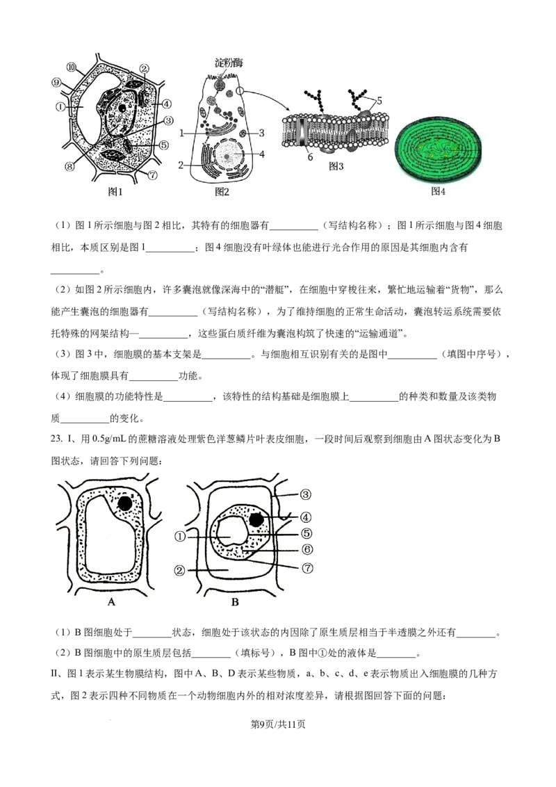 精品解析：辽宁省抚顺市六校协作体2025-2026学年高一上学期期末联考生物试卷（原卷版）_2026年01月高一试卷_260117辽宁省抚顺市六校协作体2025-2026学年高一上学期期末联考（全）