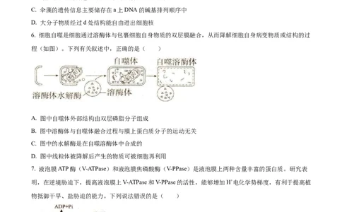 精品解析：辽宁省抚顺市六校协作体2025-2026学年高一上学期期末联考生物试卷（原卷版）_2026年01月高一试卷_260117辽宁省抚顺市六校协作体2025-2026学年高一上学期期末联考（全）