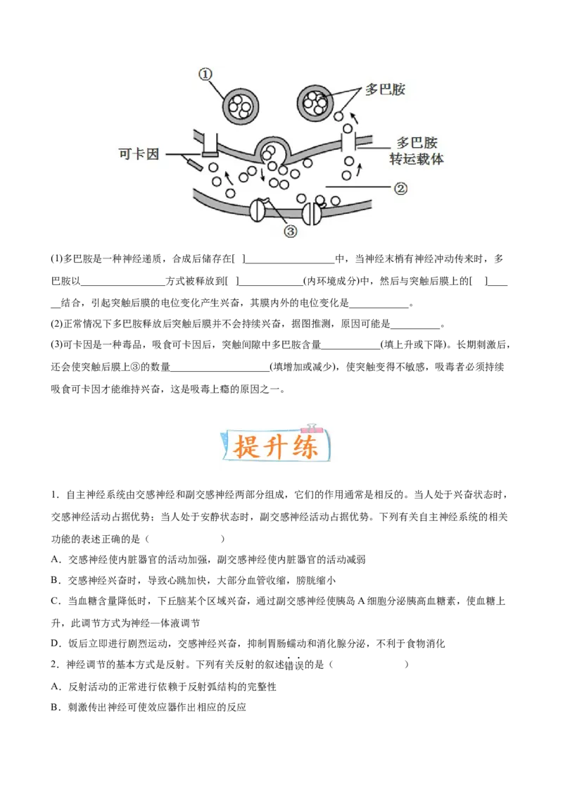考向17神经调节-备战2023年高考生物一轮复习考点微专题（全国通用）（原卷版）_通用版（老高考）复习资料_2023年复习资料_一轮复习_备战2023年高考生物一轮复习考点微专题（全国通用）