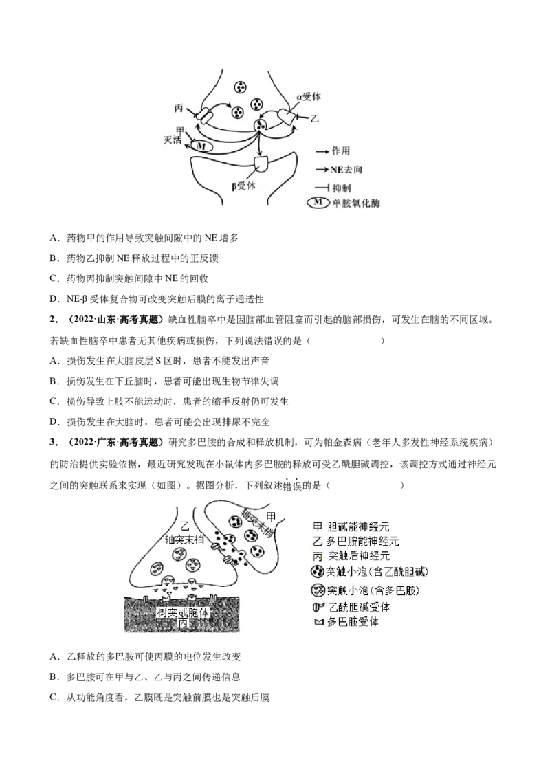 考向17神经调节-备战2023年高考生物一轮复习考点微专题（全国通用）（原卷版）_通用版（老高考）复习资料_2023年复习资料_一轮复习_备战2023年高考生物一轮复习考点微专题（全国通用）