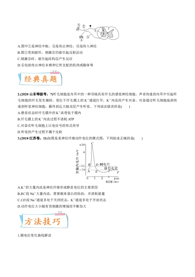 考向17神经调节-备战2023年高考生物一轮复习考点微专题（全国通用）（原卷版）_通用版（老高考）复习资料_2023年复习资料_一轮复习_备战2023年高考生物一轮复习考点微专题（全国通用）