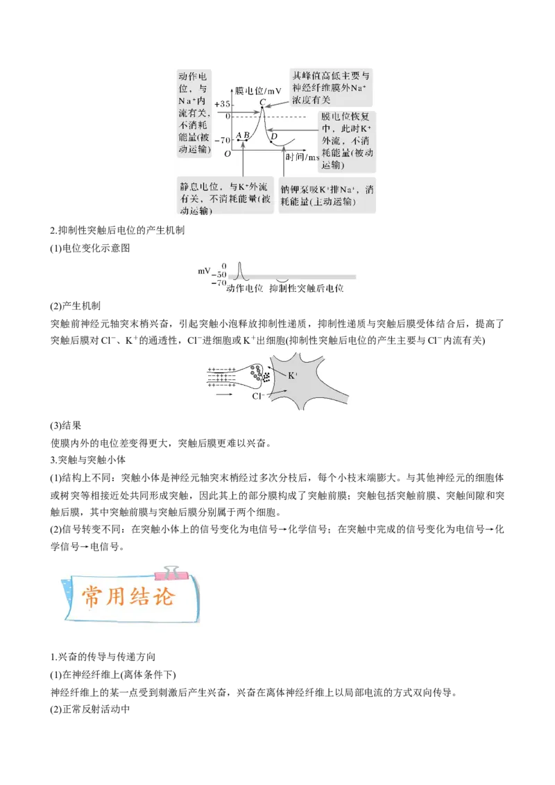 考向17神经调节-备战2023年高考生物一轮复习考点微专题（全国通用）（原卷版）_通用版（老高考）复习资料_2023年复习资料_一轮复习_备战2023年高考生物一轮复习考点微专题（全国通用）