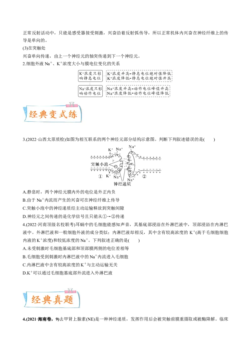 考向17神经调节-备战2023年高考生物一轮复习考点微专题（全国通用）（原卷版）_通用版（老高考）复习资料_2023年复习资料_一轮复习_备战2023年高考生物一轮复习考点微专题（全国通用）