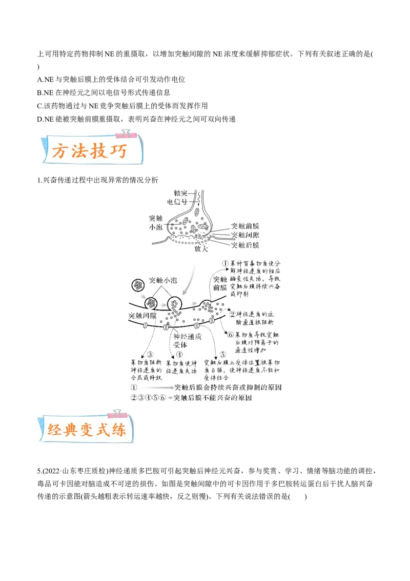 考向17神经调节-备战2023年高考生物一轮复习考点微专题（全国通用）（原卷版）_通用版（老高考）复习资料_2023年复习资料_一轮复习_备战2023年高考生物一轮复习考点微专题（全国通用）