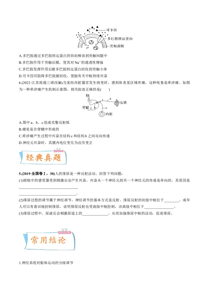 考向17神经调节-备战2023年高考生物一轮复习考点微专题（全国通用）（原卷版）_通用版（老高考）复习资料_2023年复习资料_一轮复习_备战2023年高考生物一轮复习考点微专题（全国通用）
