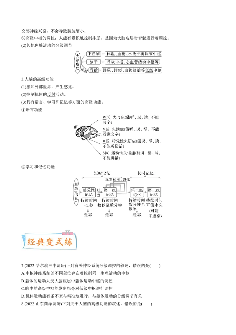 考向17神经调节-备战2023年高考生物一轮复习考点微专题（全国通用）（原卷版）_通用版（老高考）复习资料_2023年复习资料_一轮复习_备战2023年高考生物一轮复习考点微专题（全国通用）