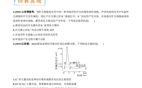 考向17神经调节-备战2023年高考生物一轮复习考点微专题（全国通用）（原卷版）_通用版（老高考）复习资料_2023年复习资料_一轮复习_备战2023年高考生物一轮复习考点微专题（全国通用）