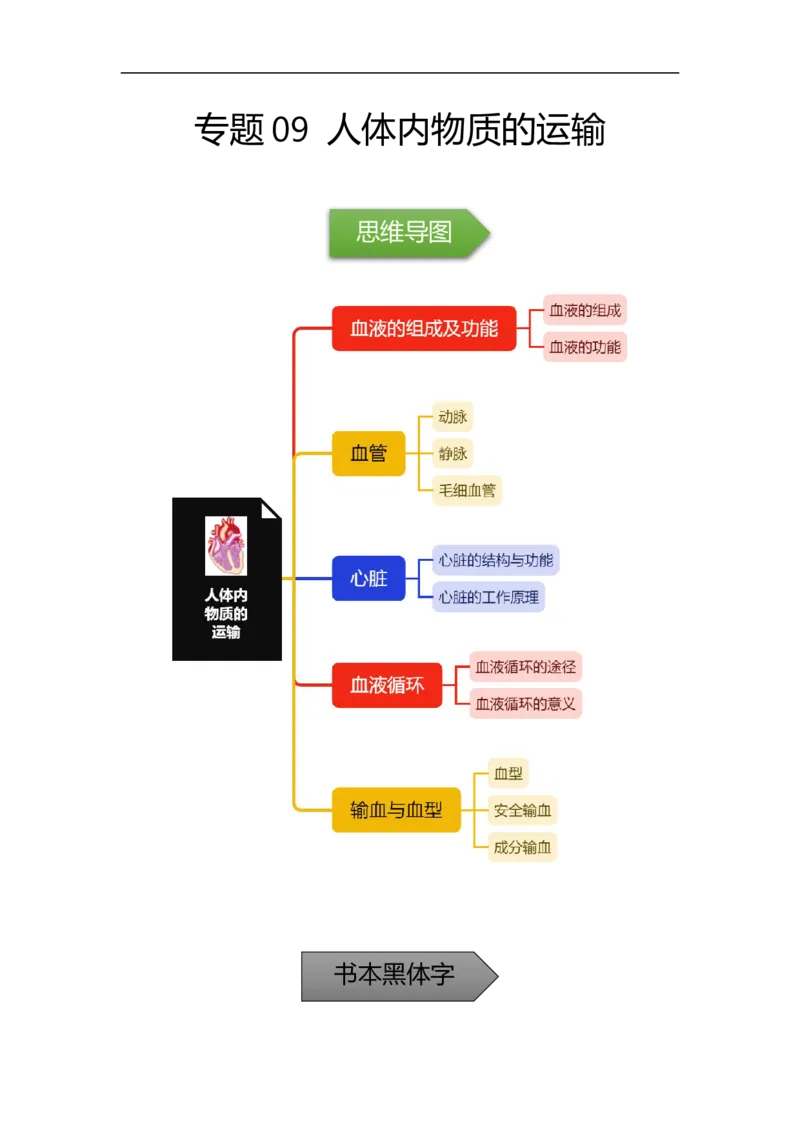 专题09人体内物质的运输-备战2023年中考生物核心考点梳理与必背_6生物中考复习_2023年中考复习资料_专项复习_备战2023年中考生物核心考点梳理与必背