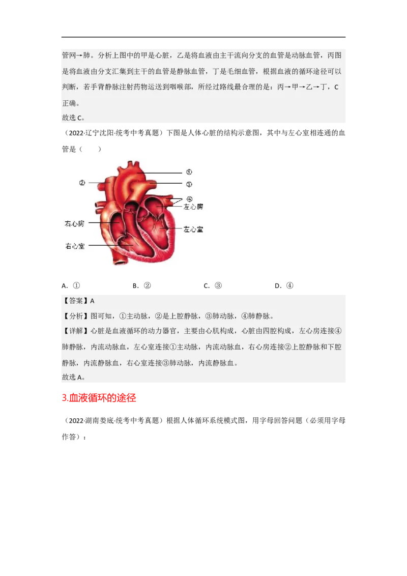 专题09人体内物质的运输-备战2023年中考生物核心考点梳理与必背_6生物中考复习_2023年中考复习资料_专项复习_备战2023年中考生物核心考点梳理与必背
