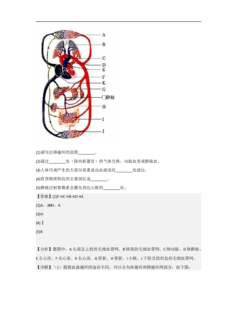 专题09人体内物质的运输-备战2023年中考生物核心考点梳理与必背_6生物中考复习_2023年中考复习资料_专项复习_备战2023年中考生物核心考点梳理与必背