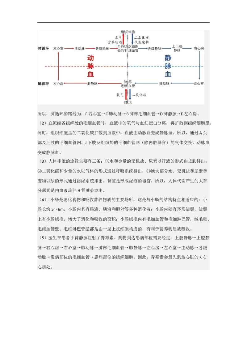 专题09人体内物质的运输-备战2023年中考生物核心考点梳理与必背_6生物中考复习_2023年中考复习资料_专项复习_备战2023年中考生物核心考点梳理与必背
