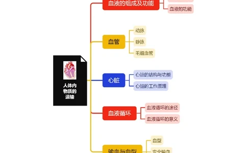 专题09人体内物质的运输-备战2023年中考生物核心考点梳理与必背_6生物中考复习_2023年中考复习资料_专项复习_备战2023年中考生物核心考点梳理与必背