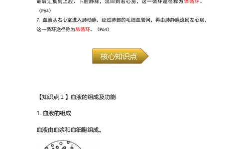 专题09人体内物质的运输-备战2023年中考生物核心考点梳理与必背_6生物中考复习_2023年中考复习资料_专项复习_备战2023年中考生物核心考点梳理与必背